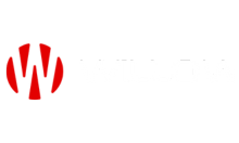 SPORTS - WILLOW CRICKET HD